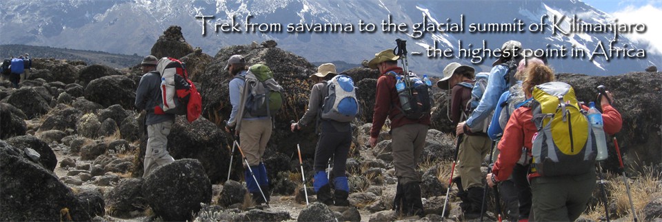 Trek from savanna to the glacial summit of Kilimanjaro – the highest point in Africa 