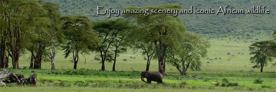 Enjoy amazing scenery and iconic African wildlife