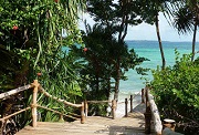 Fundu Lagoon path to the beach - pemba