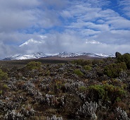 Mawenzi view from rongai route