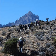 Rongai route porters at work