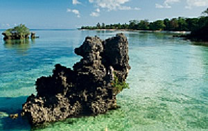 Zanzibar sea view